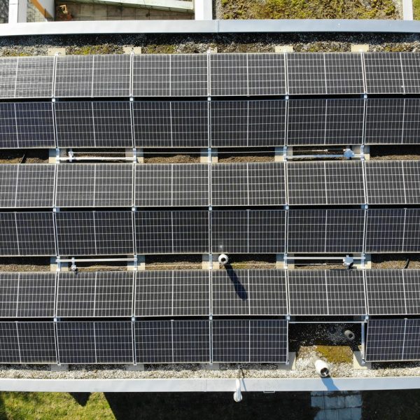 Solar panels in industrial or agricultural companies, what do you need to know?