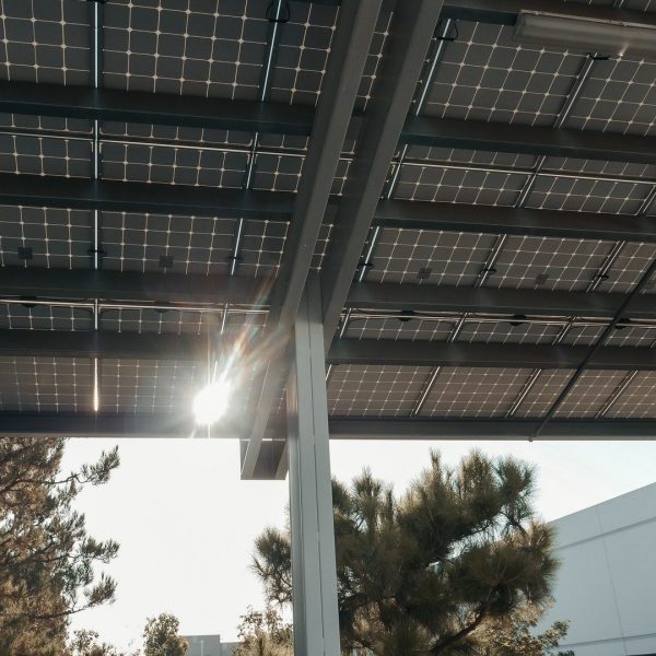 Autoconsumo 2022: Como reduzir os custos de energia da sua empresa?